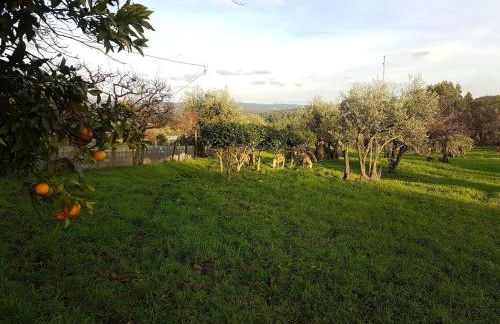 Quinta JR - Casa de campo - Foto 42