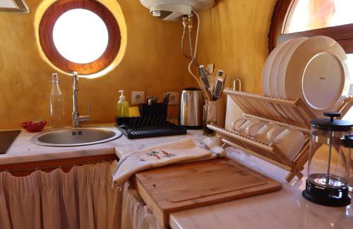 Associação Quinta das Relvas - Foto 77