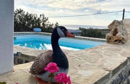 Stelani Villas & Suites - Foto 60