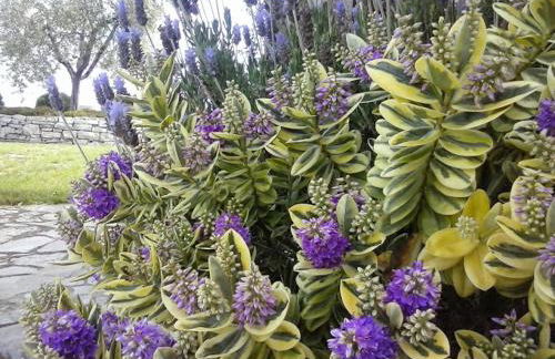 Agriturismo Valiana - Foto 73