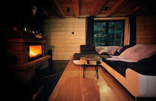 Willa Spokojna Przystań nad Strumykiem - Foto 13