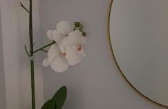 La Parada de Echegaray - Foto 66