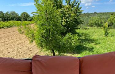 Guest Accommodation Grozdanić - Photo 7