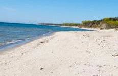 Zur Alten Boddenfischerei Ferienwohnung HeideZauber - Foto 20