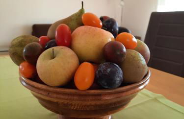 Obst- Und Ferienhof Marschall - Foto 58