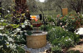 Studio Apartments Eirini - Foto 19