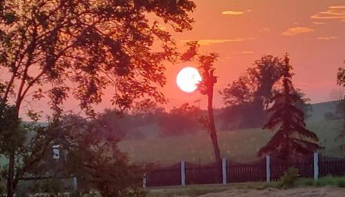 Ferienwohnung zur Saaleaue - Foto 4