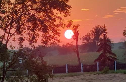 Ferienwohnung zur Saaleaue - Foto 4