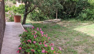 Lovely Beach House - Foto 3, Garden view