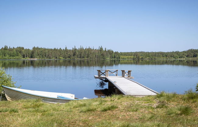 Vänneböke - Foto 25