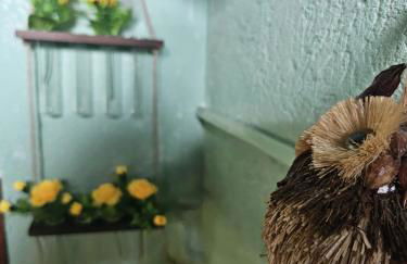 Il Drago Del Lago - Holiday Home - Foto 7