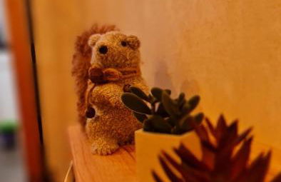 Entre Vistas - Foto 50