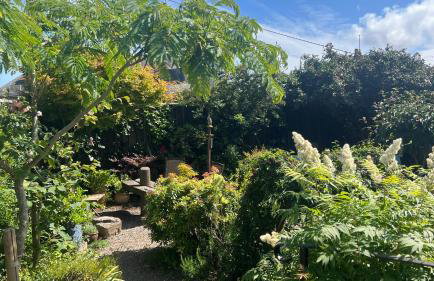 Craig Cottage 3BR Tayport Near St Andrews - Foto 39