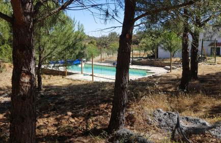 Monte Das Ferrarias - Foto 1