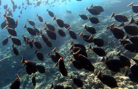 This place is different!! Award winning! Oceanfront, View View! - Foto 42