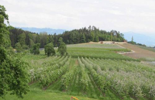 Landhaus Erben - Foto 44