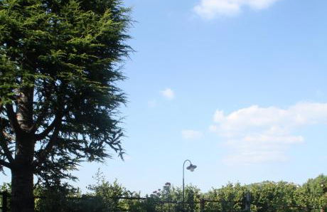 La Briccola - Foto 54