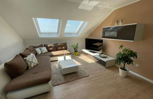 Hegaublick - Photo 5