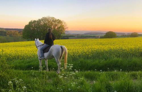 Ferienwohnung Pferdestärke-Eifel - Foto 5