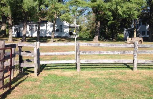 Charming Cottage on a City Farm! - Foto 17