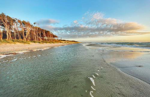 Sonnenblumenhaus 01 - Foto 27