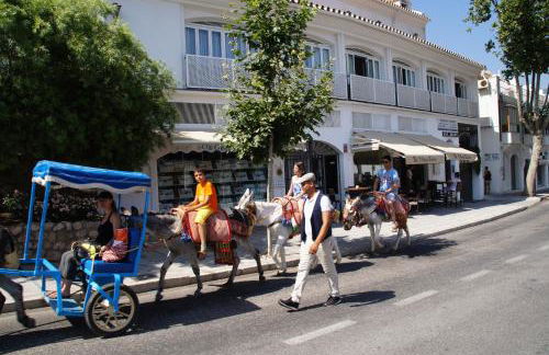 Elviria Apartment - Photo 46