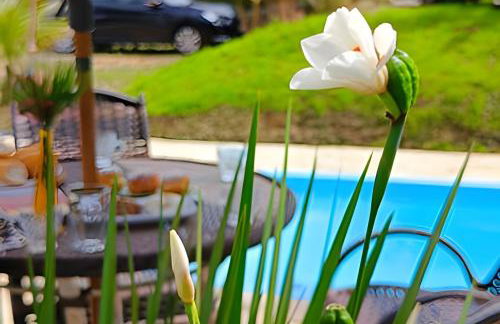 Chalé Primavera Rosa com piscina - Foto 40