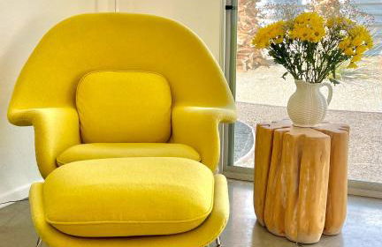 Number 444 - Foto 11