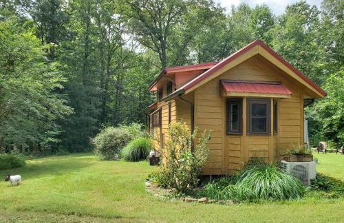 Bison Farm - Cabin Vieja - Foto 3