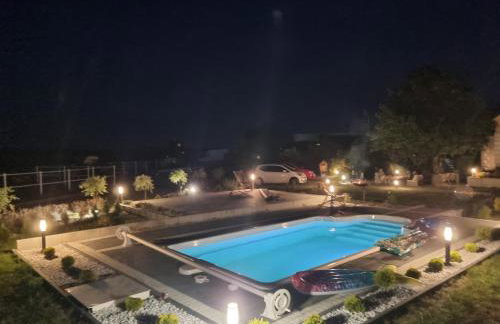 Vigor Horses - Foto 43