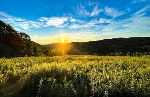 Mountain Brook Cabin - Foto 31