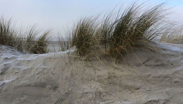 Lively Apartment in Norderney - Foto 4, Habitación