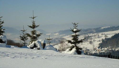 Noconiówka - Foto 4