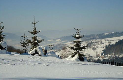 Noconiówka - Foto 4