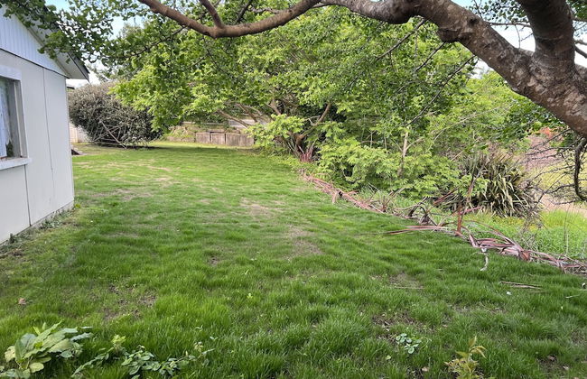 Ginkgo & Walnut - Foto 36