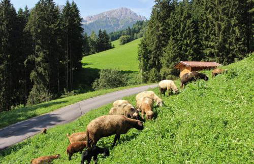 Residenz Erschbaum - Foto 66