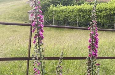 Hot-tub Hideaway - Foto 16