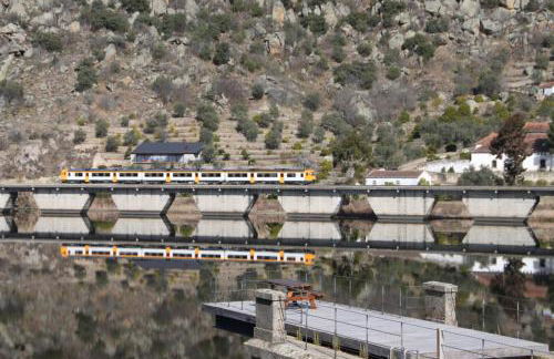 Douro Yacht Charter & Bungalows - Foto 21