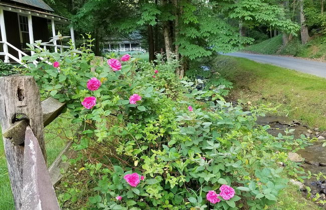 The Cabins at Healing Springs - Foto 29