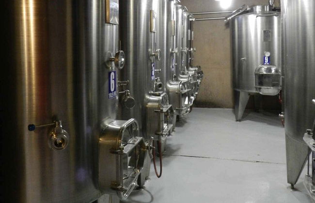 Tour privato della Valle di Calingasta + Degustazione di vini - Foto 3