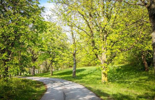 Wildberghof - Foto 16