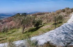 Agriturismo San Michele - Foto 7