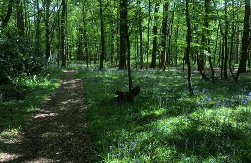 The Barn - Quiet Location - Foto 27