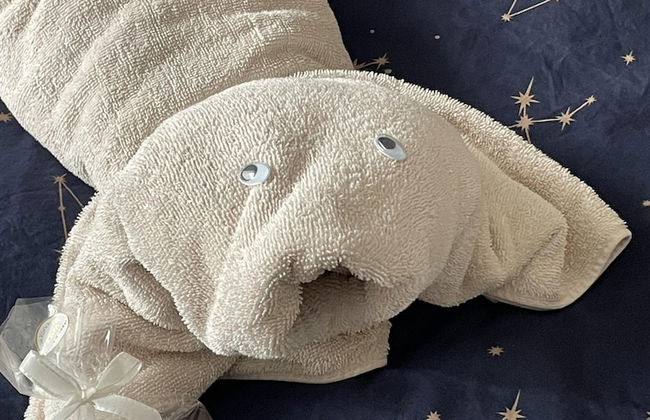 Apartment Marit - Foto 18