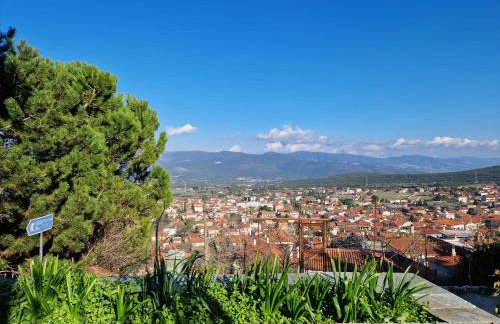 Πανόραμα - Foto 5