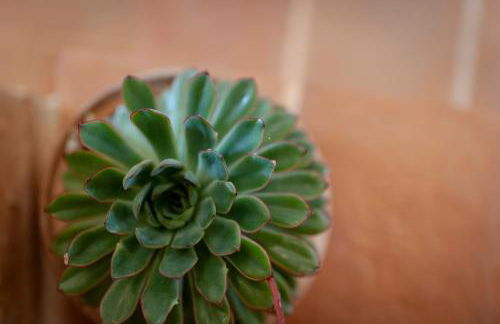 Agriturismo Casa Vecchia - Foto 47