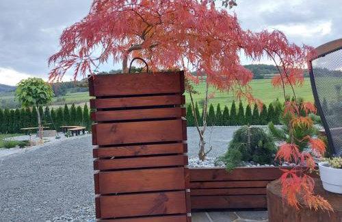 Dwór Bysina - Foto 35