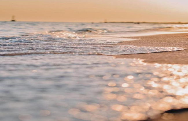 Wellness & Comfort Retreat - Photo 23