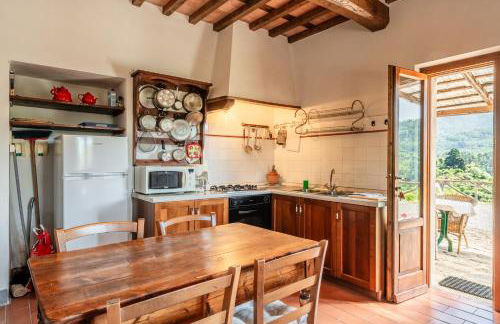 Fattoria di Pietrabuona - Photo 23