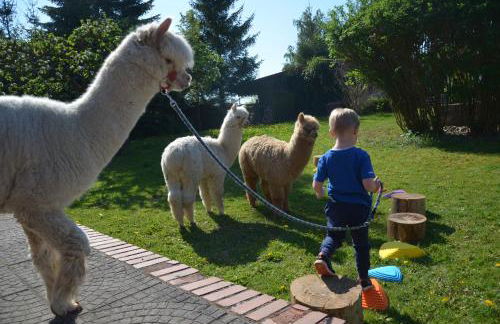 Alpakatherapie und Ferienhof Charlottenthal - Foto 46